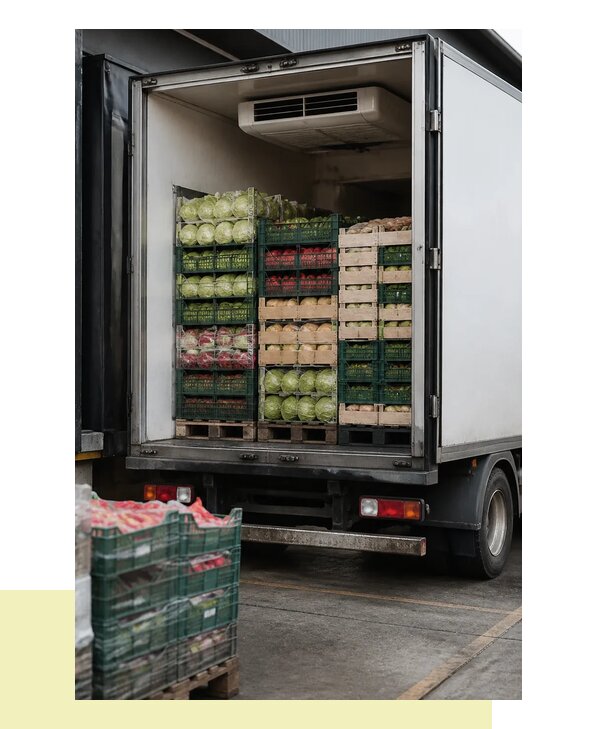 Перевозка плодоовощной продукции оптом напрямую в Гагарина