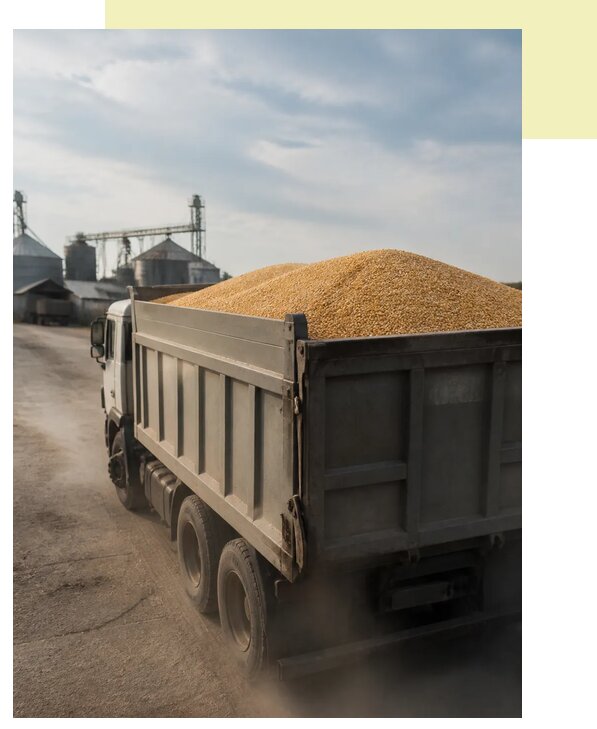 Перевозка сельхозпродукции навалом в Гагарина по цене от 3121 р. | Агросервис-Ггр