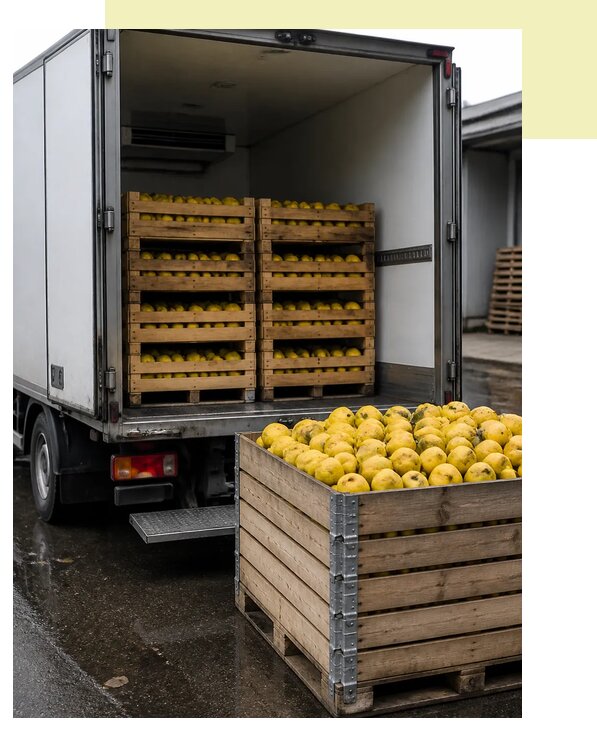 Перевозка айвы рефрижератором в Гагарина по цене от 5202 р. | Агросервис-Ггр